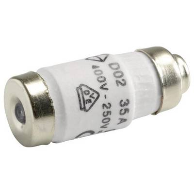 Fusibile elettrico di tipo D02, 35 Ampere, per tensioni da 100 a 250 Volt, forma cilindrica con estremità metalliche.