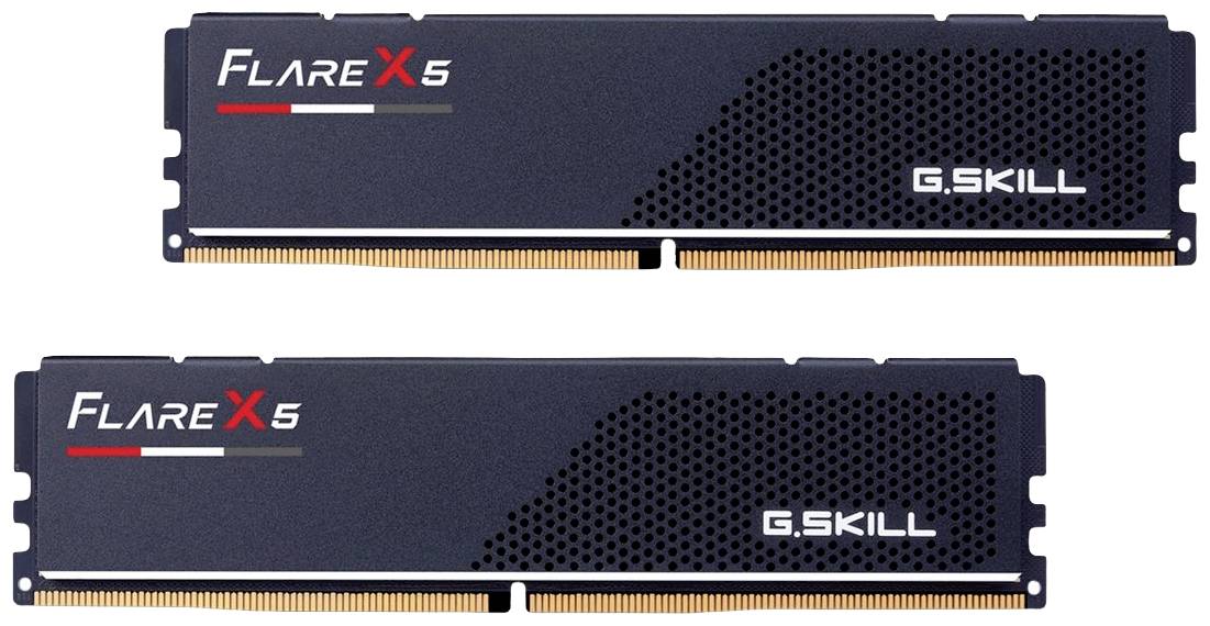 Due moduli RAM del marchio G.SKILL con la scritta 'Flare X5'. Sono di colore nero con un design semplice e moderno.