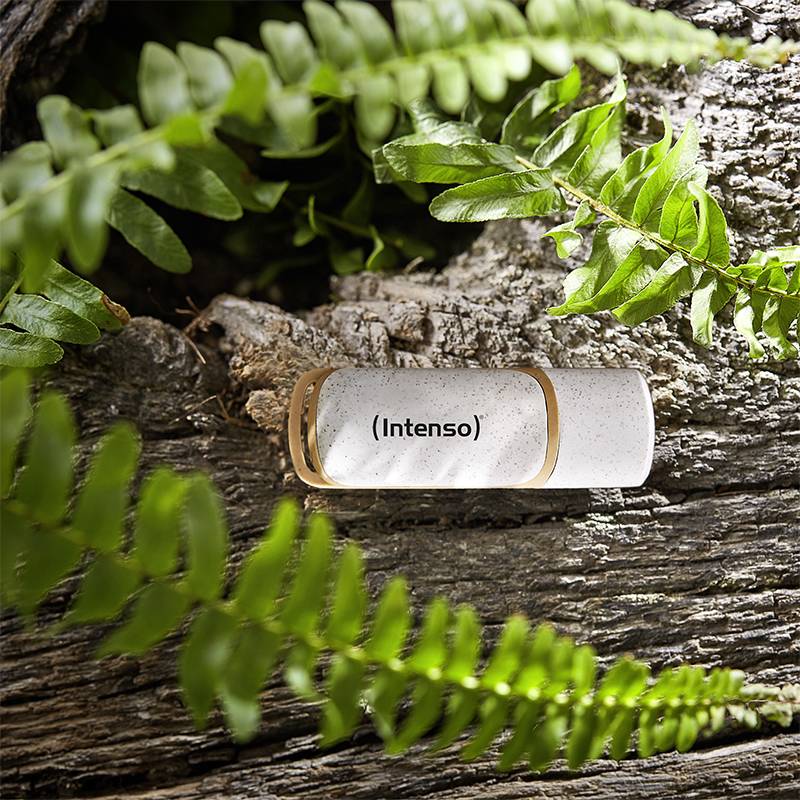Una chiavetta USB bianca con la scritta 'Intenso' è posizionata su un tronco d'albero, circondato da foglie verdi di felce sotto la luce naturale.