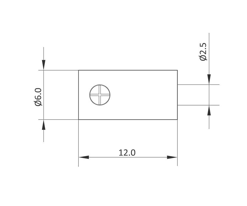 Disegno tecnico di un cilindro con dimensioni: lunghezza 12,0 mm, diametro 6,0 mm; diametro finale più piccolo 2,5 mm.