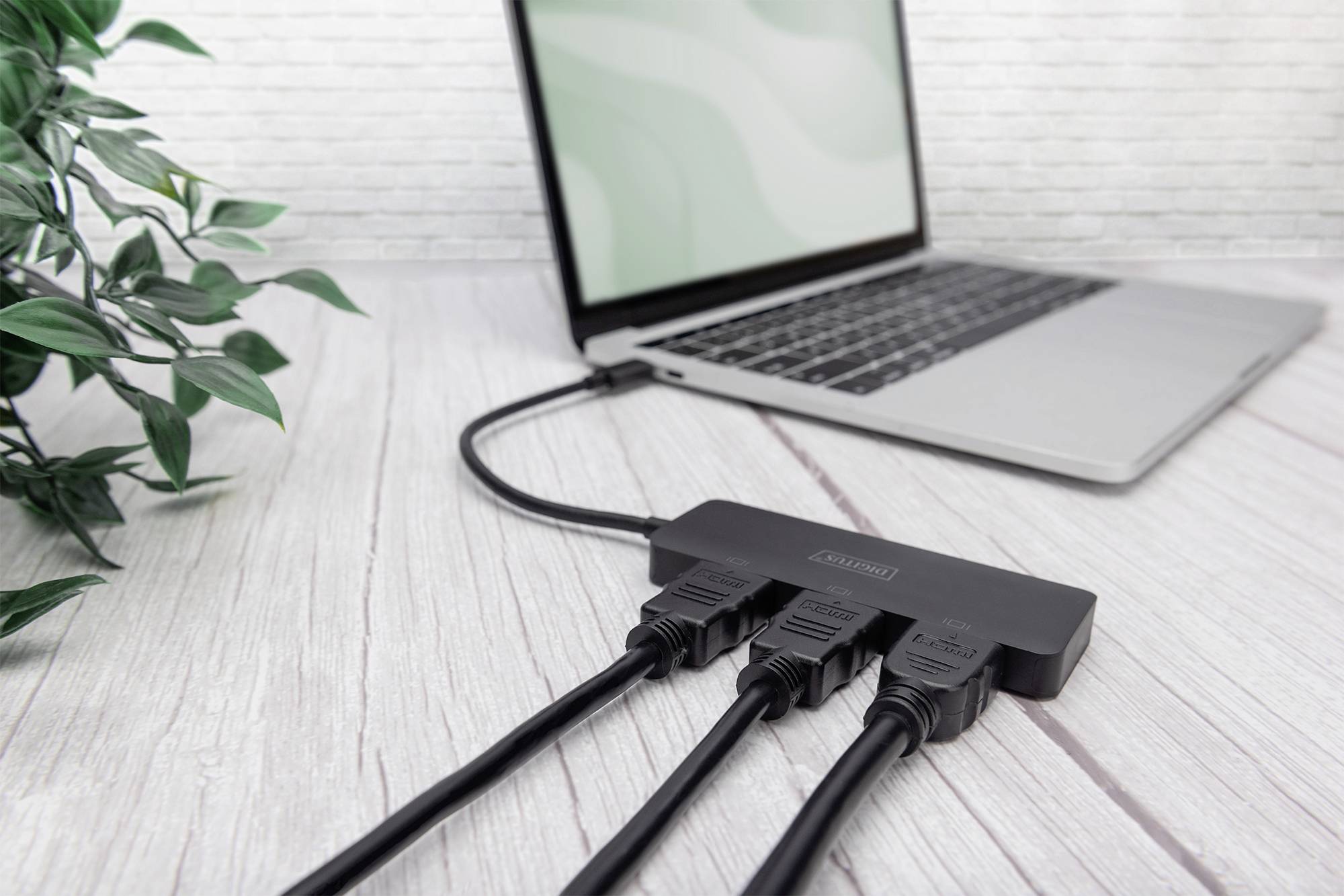 Un laptop è collegato a un hub USB tramite diversi cavi. Sistemato accanto a una pianta verde in un vaso per avere connessioni aggiuntive.
