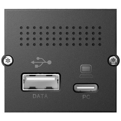 Un pannello nero con una porta USB per "Dati" e una porta USB-C per "PC", per collegare dispositivi.