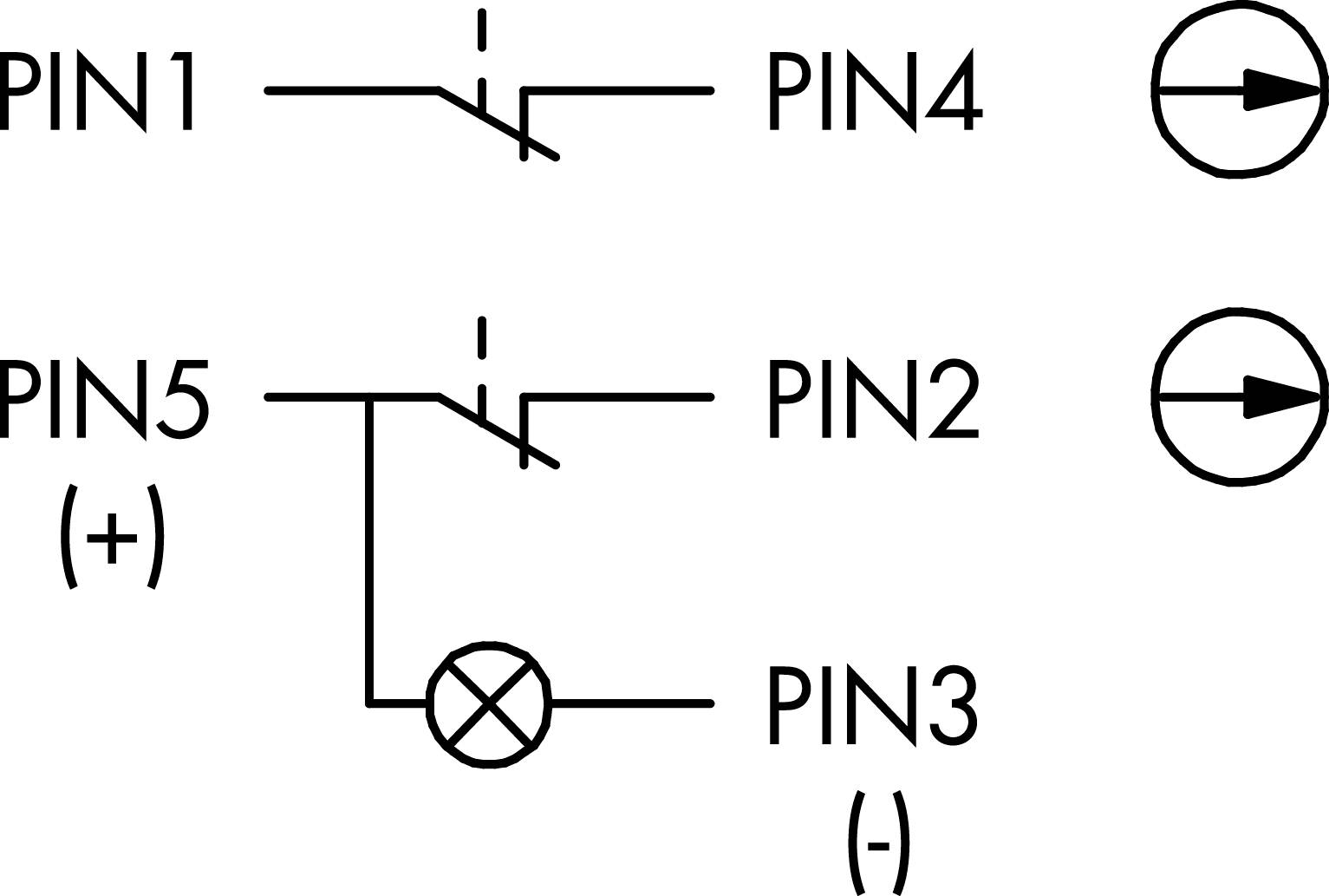Schema di una doppia diodo. PIN1 e PIN5 sono gli ingressi. PIN4 è collegato a una diodo, PIN2 a una diodo e PIN3 a una lampada.