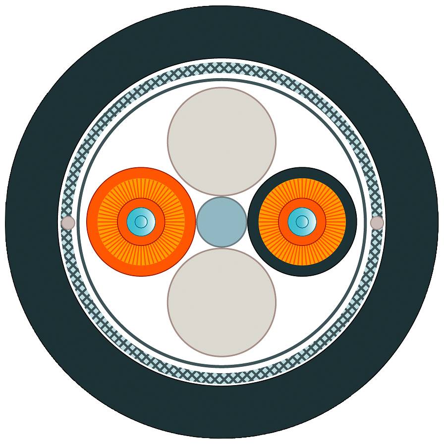 Diagramma circolare con quattro settori: due arancioni, due grigi. I due settori arancioni contengono dettagliati motivi circolari.