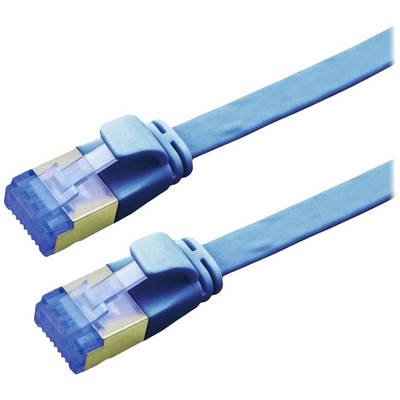 Due cavi Ethernet blu con connettori RJ45 in primo piano, utilizzati per connessioni di rete.