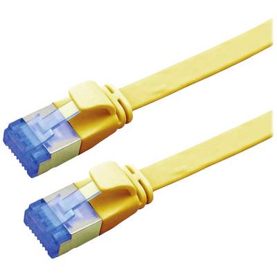 Due cavi Ethernet gialli con connettori blu su sfondo bianco.