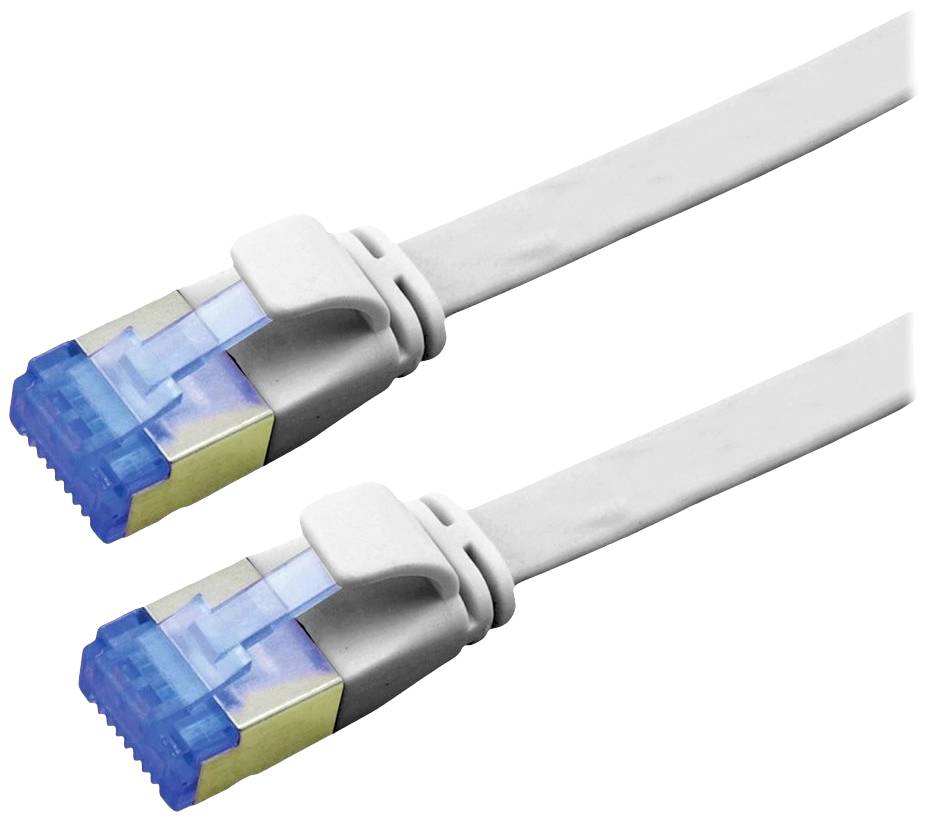 Due cavi di rete o Ethernet con connettori RJ45 blu e cavi bianchi, posizionati uno accanto all'altro, utilizzati per la trasmissione dati.