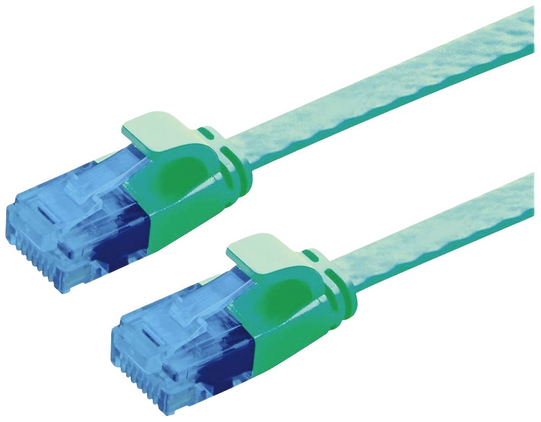 Due cavi di rete Cat6 con connettori blu e cappucci verdi, posizionati uno accanto all'altro. Vengono utilizzati per la trasmissione di dati.