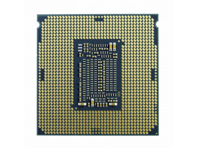 Retro di un processore per computer con numerosi punti di contatto dorati su una scheda madre blu.