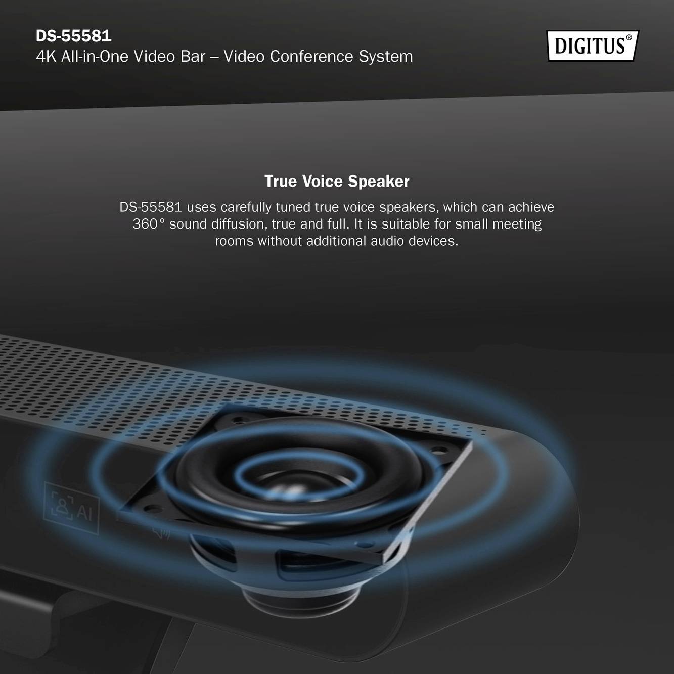 Immagine pubblicitaria digitale per il prodotto 'DS-55581', un sistema di videoconferenza 4K ideale per piccole sale riunioni.