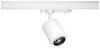 Paulmann Kratos Faretto da binario a LED ProRail3 18.5 W LED (monocolore) Bianco