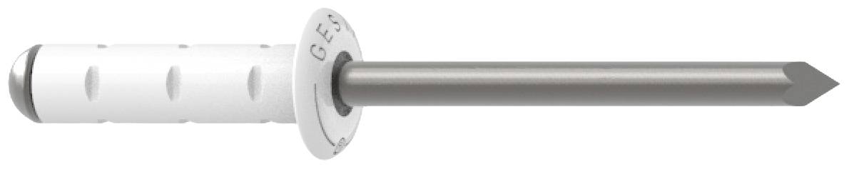 AGBERG 5 X 20 Mm (10 Pezzi) Rivetti Ciechi Con Testa Piatta