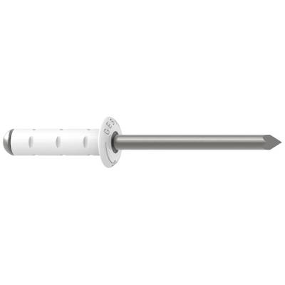 AGBERG 5 X 20 Mm (10 Pezzi) Rivetti Ciechi Con Testa Piatta - Foto 1