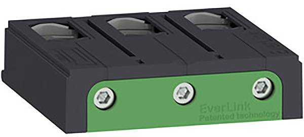 Raffigurato è un componente elettrico rettangolare con tre connessioni a vite e un lato anteriore verde con la scritta 'EverLink Tecnologia Brevettata'.
