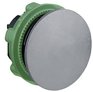 Immagine di un pulsante a pressione rotondo color argento con involucro verde.