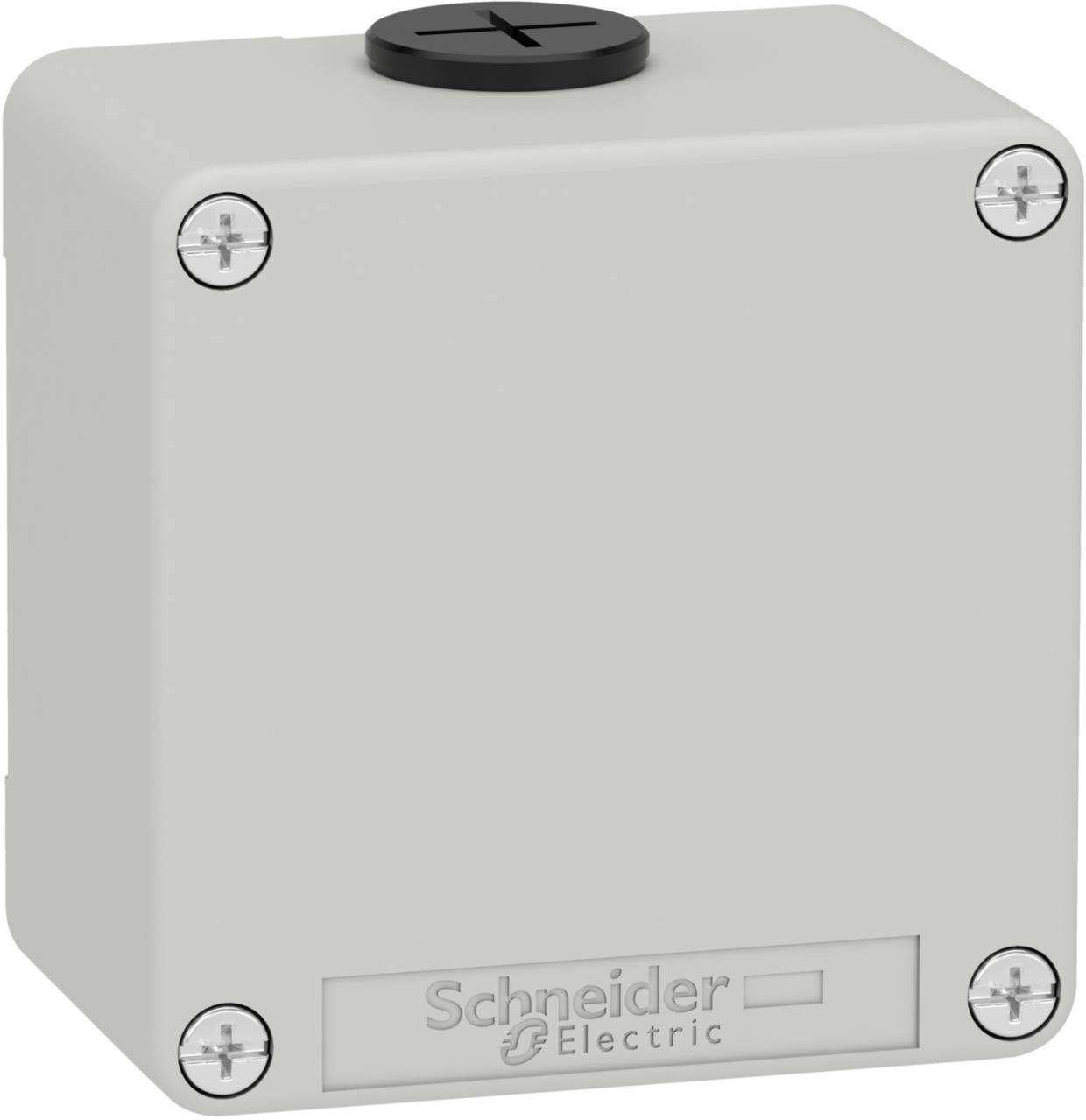Un involucro elettrico grigio e quadrato con quattro viti agli angoli, dotato di un coperchio rotondo in alto, contrassegnato con 'Schneider Electric'.