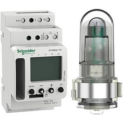 Dispositivo elettronico di controllo di Schneider Electric accanto a un relè a vetro. Entrambi sono adatti a applicazioni industriali.
