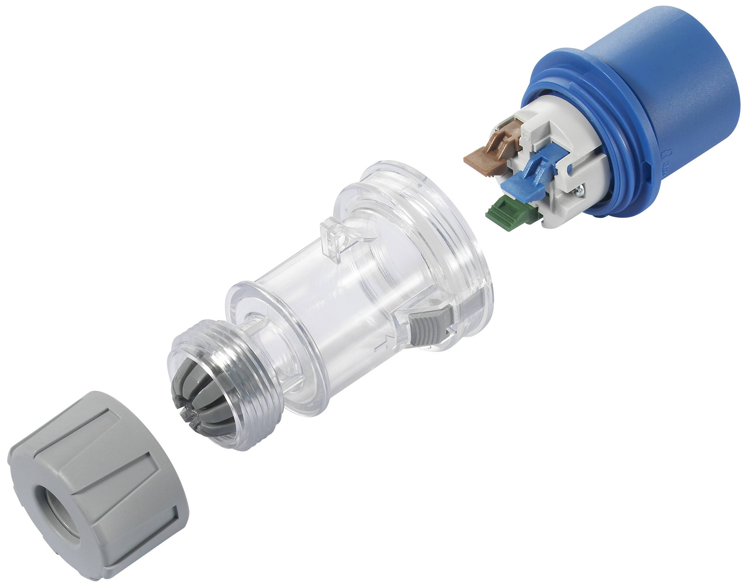 Connettore Ethernet trasparente e smontato con guaina blu e bulloneria grigia, che mostra i componenti interni.