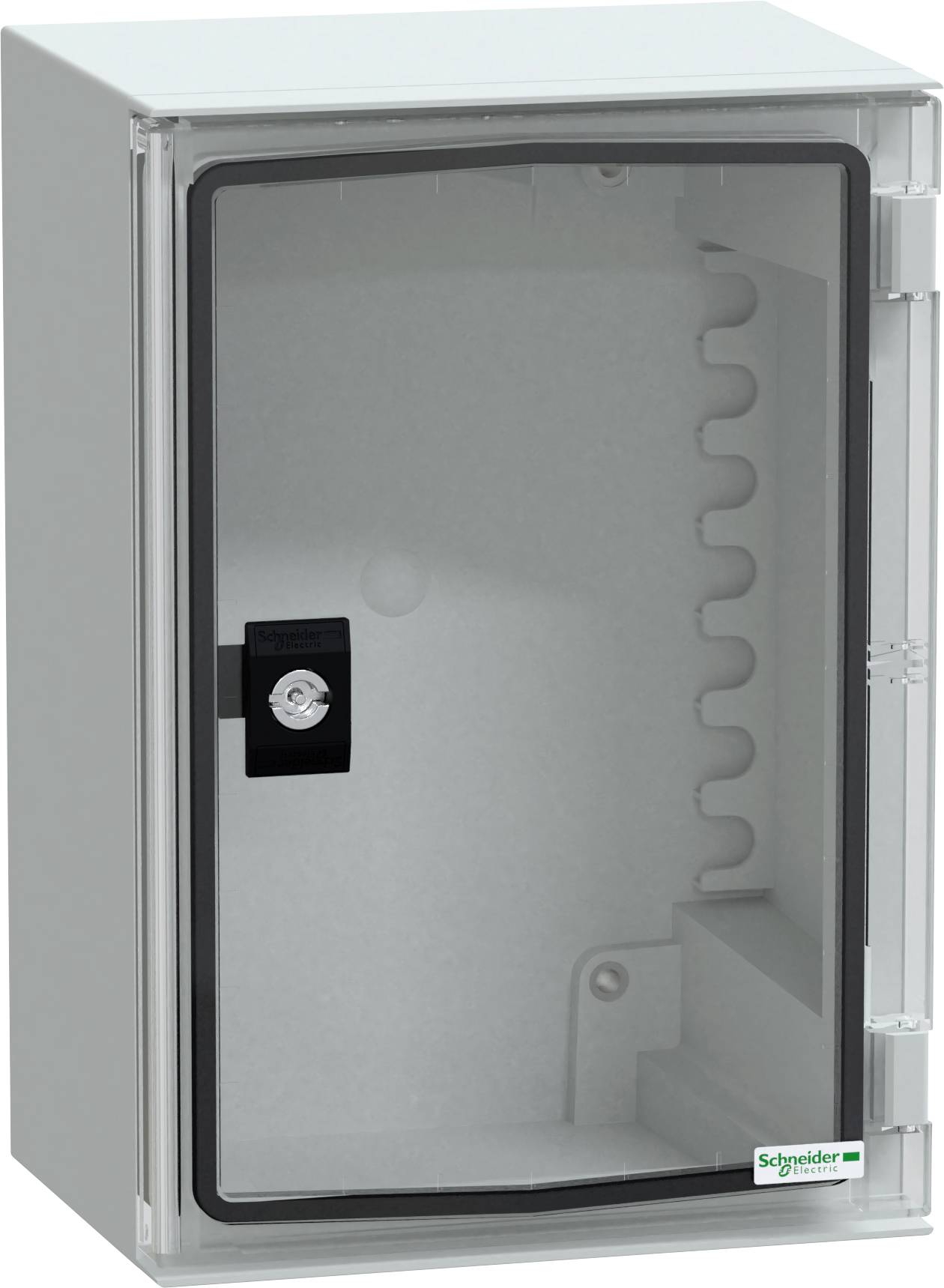 Involucro elettrico con porta trasparente e serratura per l'osservazione dei componenti interni senza aprirlo; marchio Schneider Electric visibile.