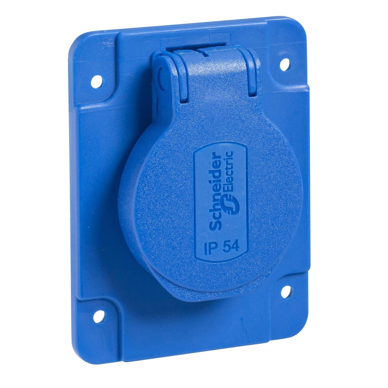 Una presa elettrica blu con coperchio ribaltabile su cui è scritto 'Schneider Electric IP 54', montata su una piastra blu.
