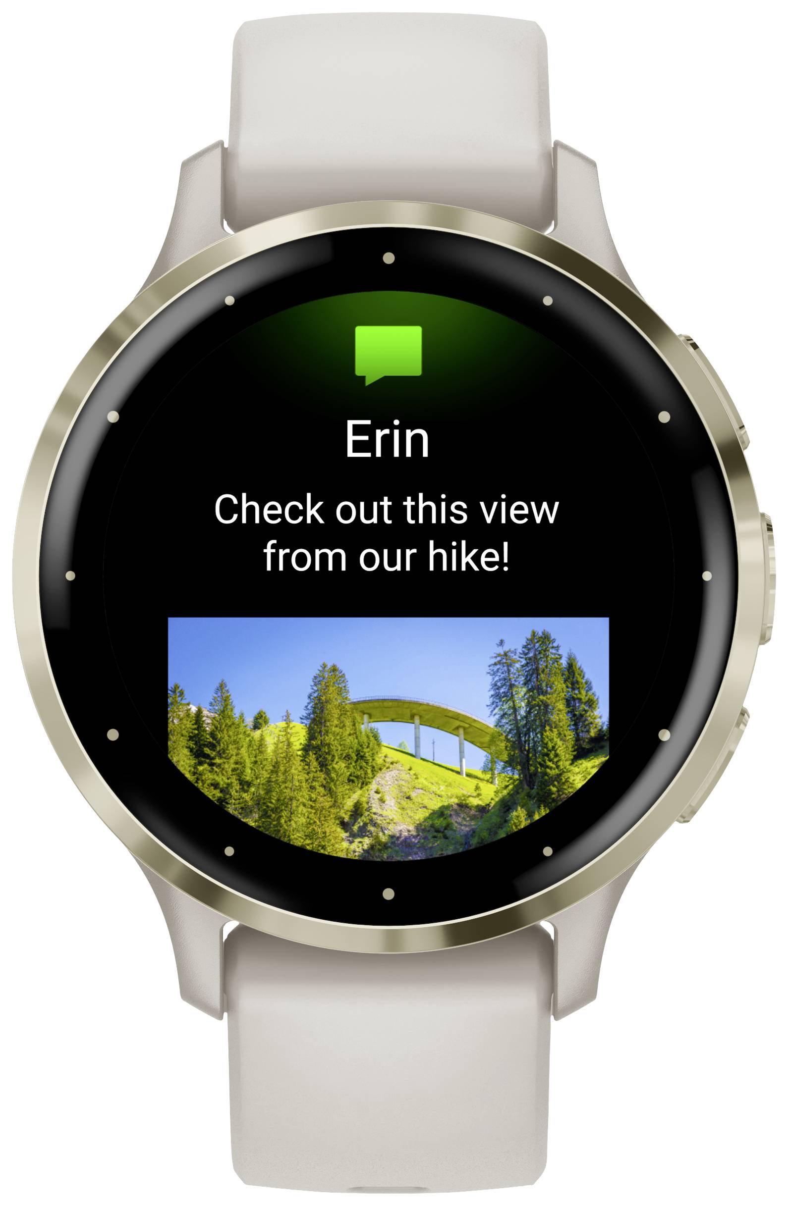 Schermo dello smartwatch con messaggio: 'Erin: Guarda questo panorama dal nostro trekking!' e foto di un ponte in un paesaggio boschivo.