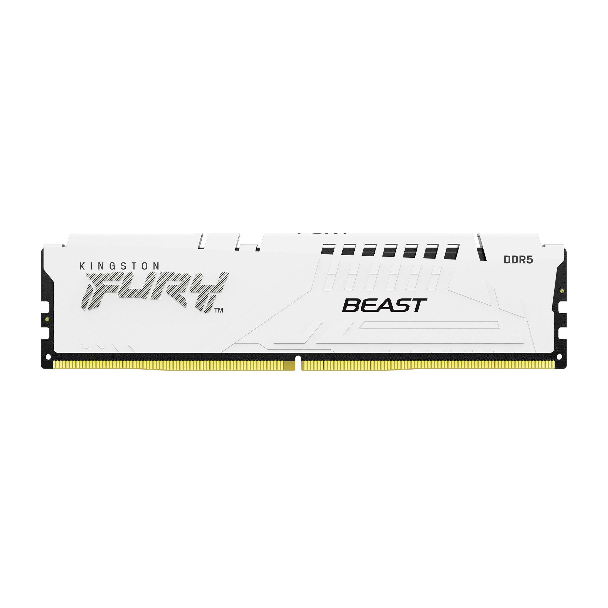Modulo di memoria RAM DDR5 Kingston Fury Beast in bianco.