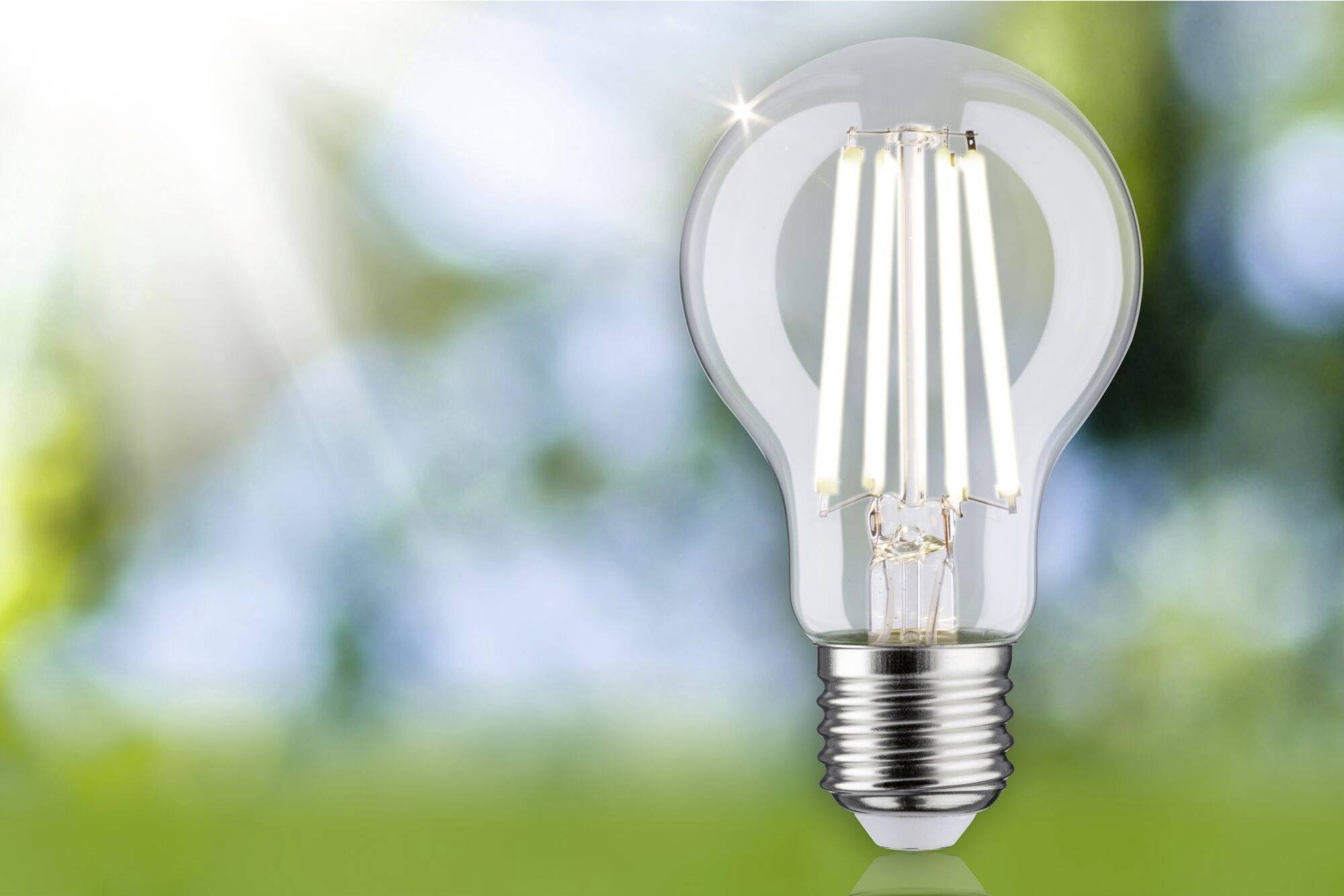 Lampadina su uno sfondo sfocato di giardino. I raggi solari sul lato sinistro illuminano la scena, enfatizzando energia e illuminazione.