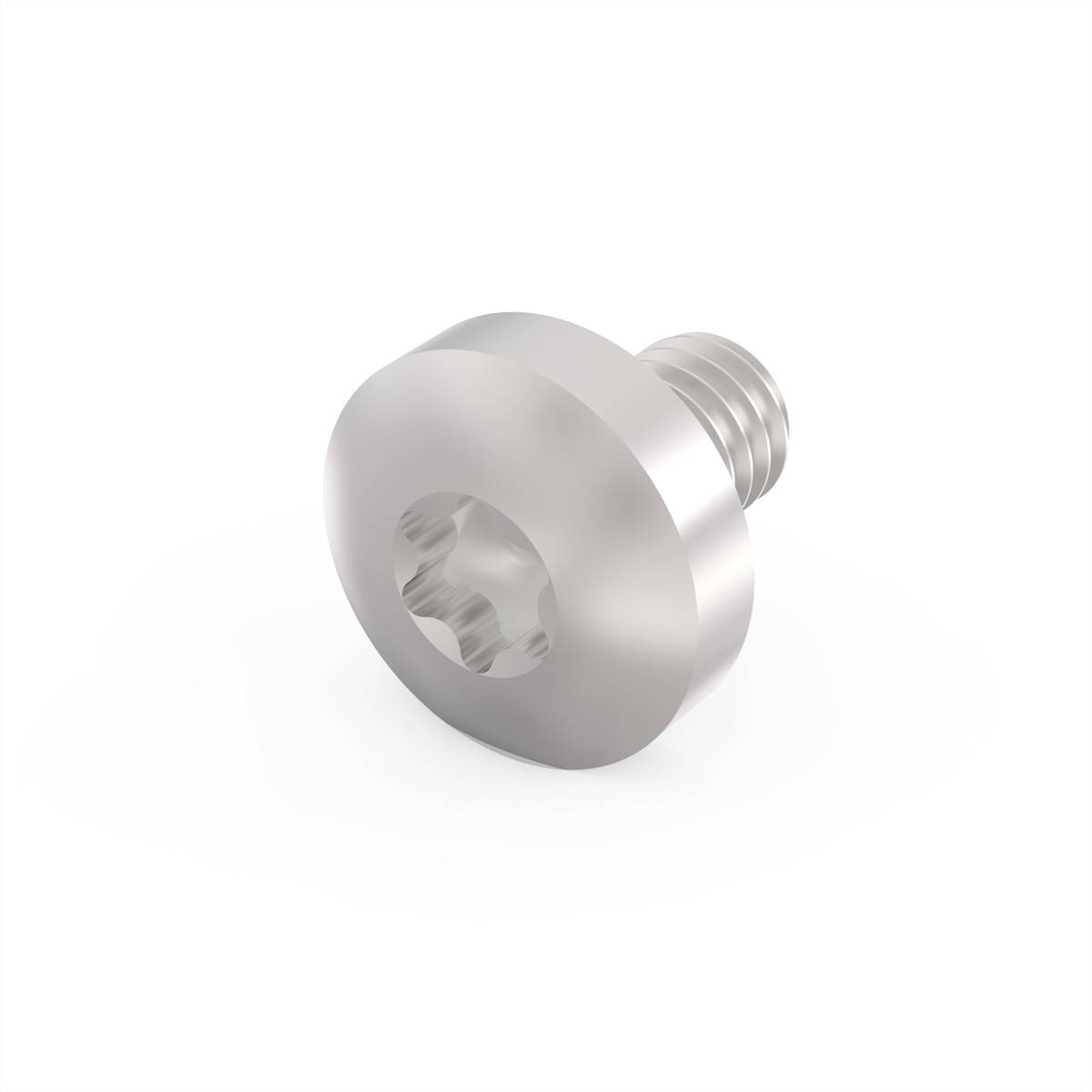 Vite metallica con testa Torx su sfondo bianco, superficie lucida.