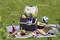 Picnic su un telo con frutta, pane, bevande e un frigo portatile all'aperto. Accanto ci sono una chitarra e un pallone da pallavolo.