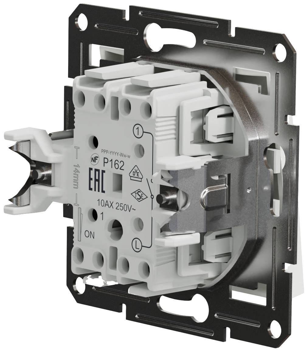 Un interruttore elettrico con etichette e connessioni, montato su una piastra metallica, idoneo per 10AX 250V.