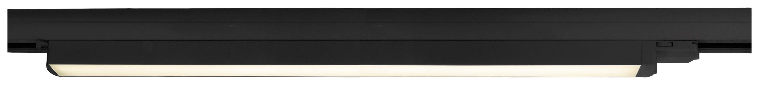 Un'illuminazione a soffitto moderna, allungata, con custodia nera e luce LED bianco caldo, adatta per interni.