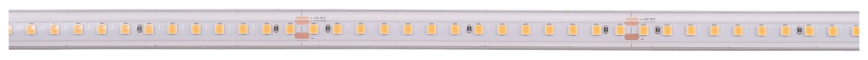 Una striscia LED in primo piano con LED gialli uniformemente distribuiti su un nastro portante bianco.