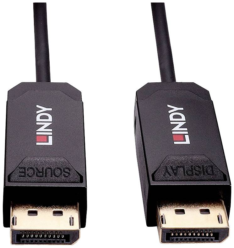 Due cavi DisplayPort neri con la scritta 'LINDY'. Uno è contrassegnato con 'SOURCE', l'altro con 'DISPLAY'.