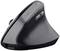 Mouse verticale ergonomica nera con punto verde illuminato sulla parte superiore, connessione USB e due tasti funzione.