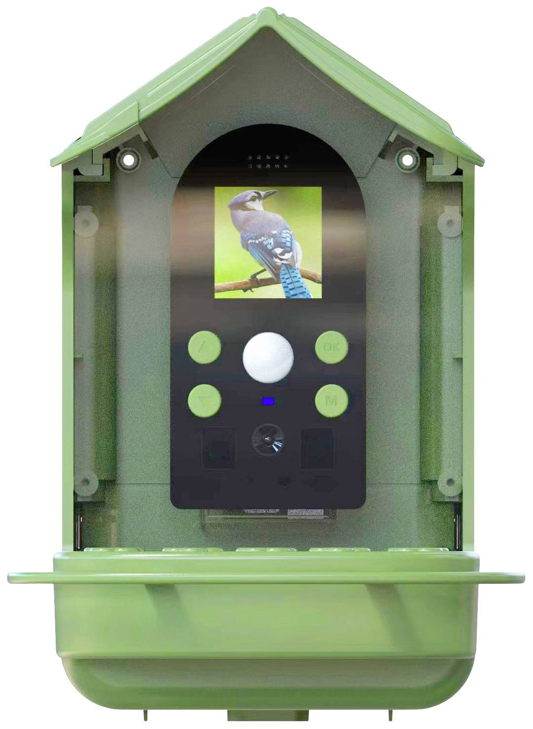 Casetta per uccelli verde con telecamera integrata, mostra una foto di un uccello sul display frontale.