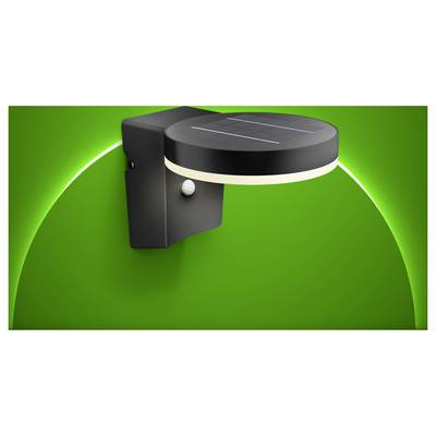 Buca da golf stilizzata in 3D con cappuccio scuro e una pallina bianca su uno sfondo verde brillante, che suggerisce un bersaglio da golf o una grafica di putting.