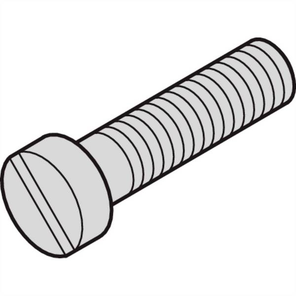 nVent SCHROFF 21100431 vite a testa cilindrica 1 pz.