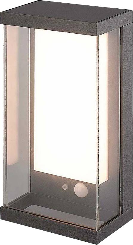 Applique da esterno moderna dal design rettangolare e trasparente con cornice in metallo. Emana una luce bianca e intensa.
