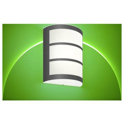 Icona di database cilindrica bianca stilizzata su uno sfondo verde brillante con un arco luminoso dietro di essa.