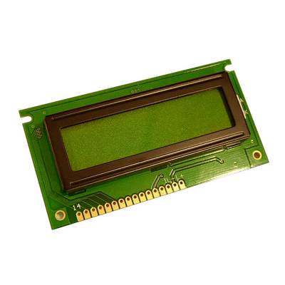 Una scheda verde rettangolare con un display nero rettangolare. Non mostra alcuna informazione.