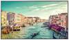 Samsung QM98T-C Large Format Display (monitor LFD) 247.7 cm (97.5 pollici) 3840 x 2160 Pixel 24/7 Altoparlanti integrati