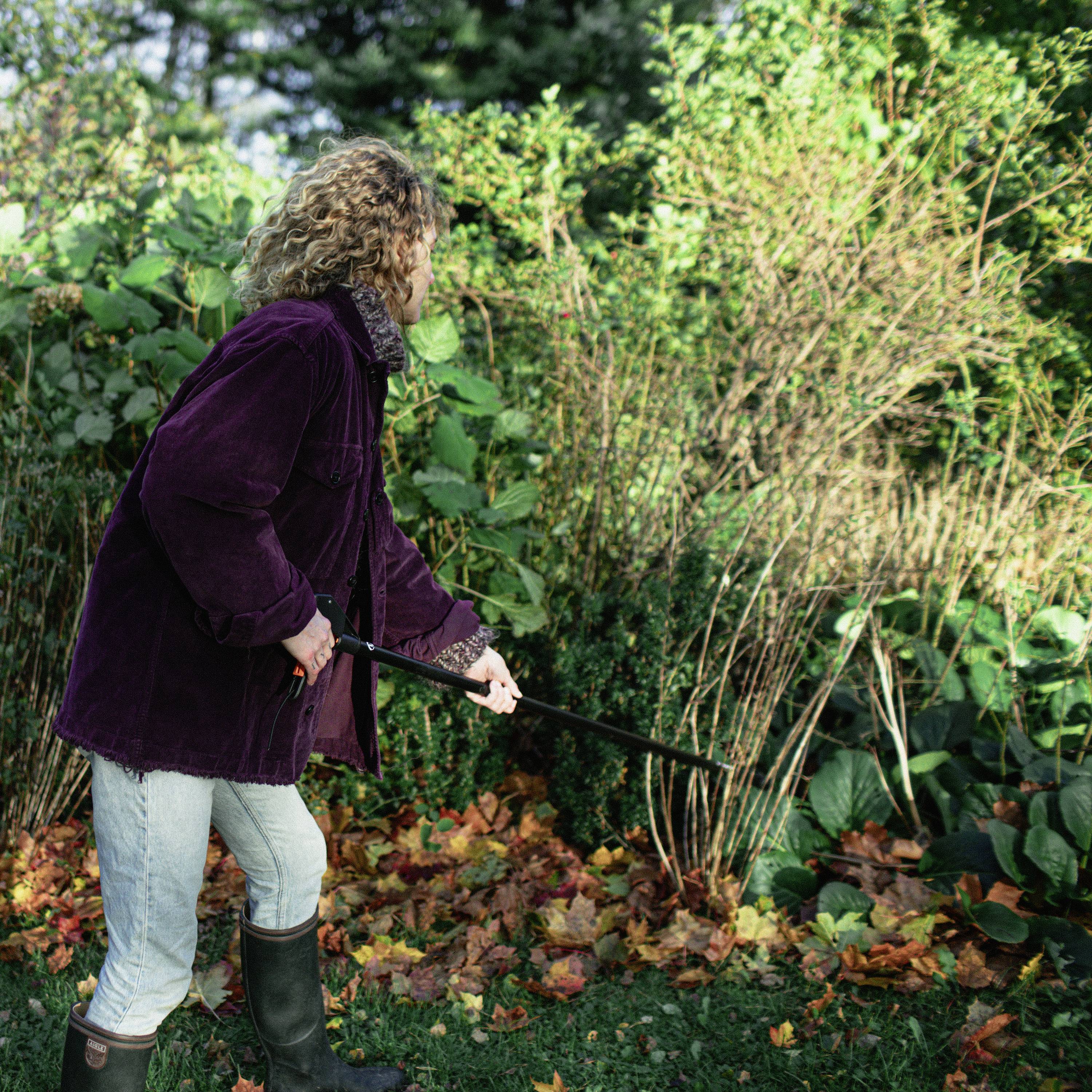 Una persona con ricci capelli, indossando un cappotto rosso, è in piedi su un tappeto di foglie e osserva le piante nel giardino, reggendosi con un bastone da passeggio.