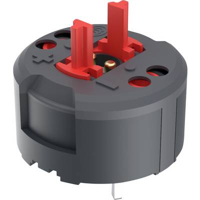 RAFI 1.20.126.414/0000 Elemento commutazione 2 NC 35 V 1 pz.-0