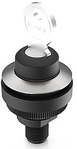 RAFI 1.11.051.405/0000 RAMO 30 K Interruttore a chiave 32 V 0.1 A 2 x 90 ° 1 pz. Pezzo