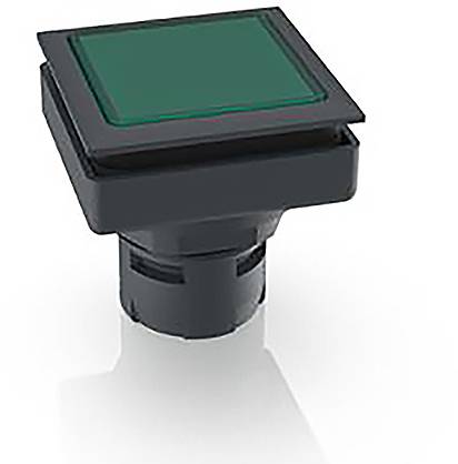 RAFI 1.30.090.001/1500 1.30.090.001/1500 Pulsante illuminato (L x L x A) 24.9 x 24.9 x 26.2 mm 1 pz.