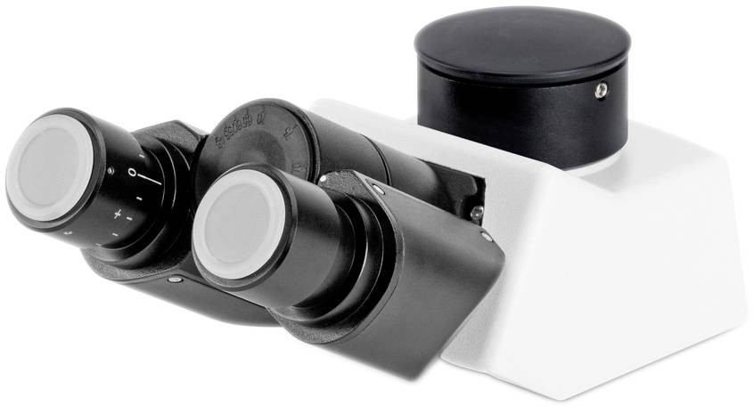 Un microscopio binoculare con elementi in nero e bianco, adatto per indagini di laboratorio e scopi scientifici.