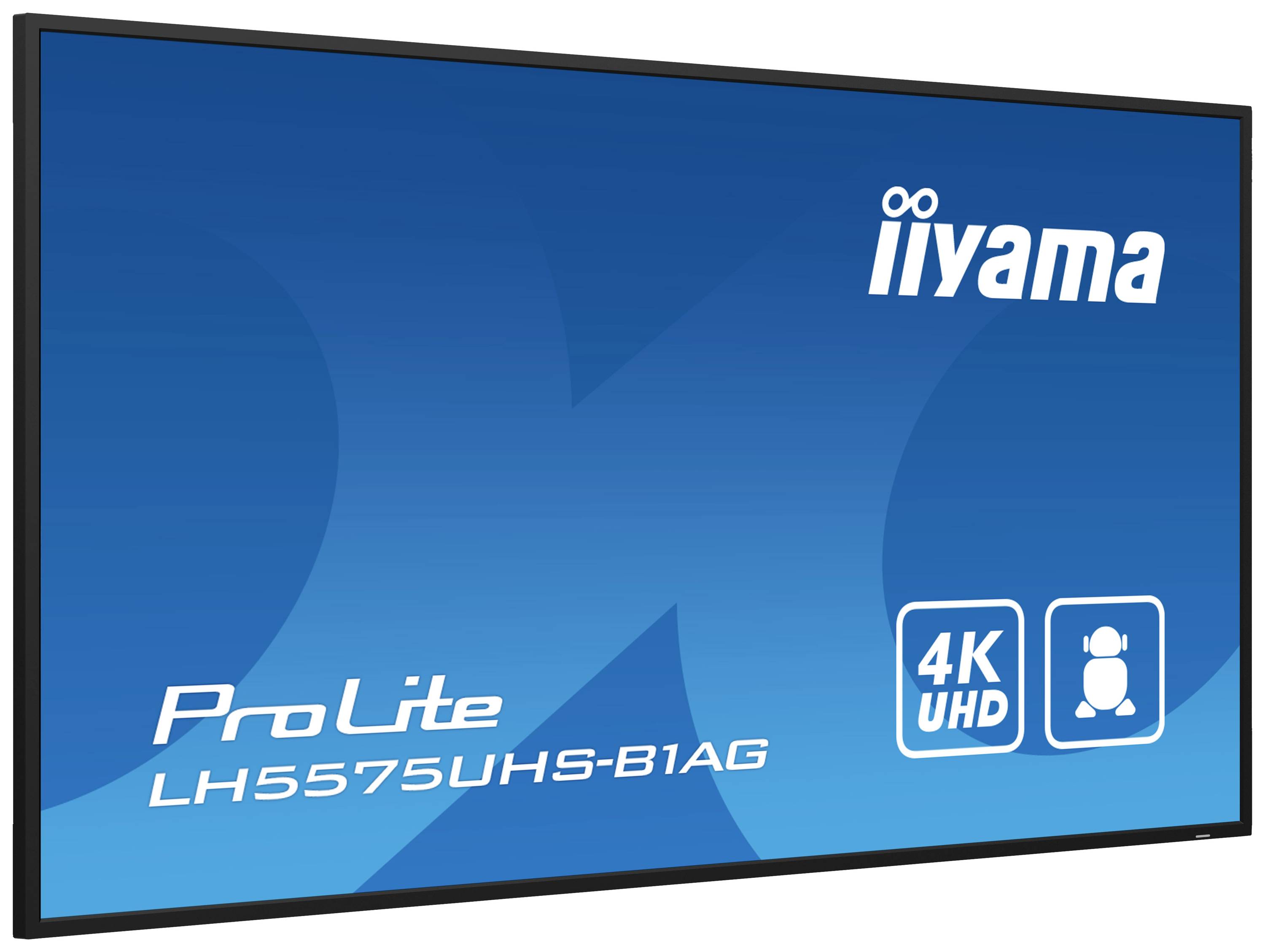 Un monitor iiyama ProLite, modello LH5575UHS-B1AG, con risoluzione 4K UHD, viene mostrato su uno sfondo blu.
