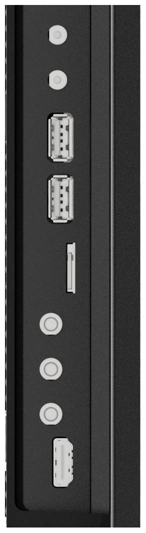 La figura mostra le porte di un PC: due DisplayPort, una porta HDMI, un connettore USB-C e due ulteriori porte USB.
