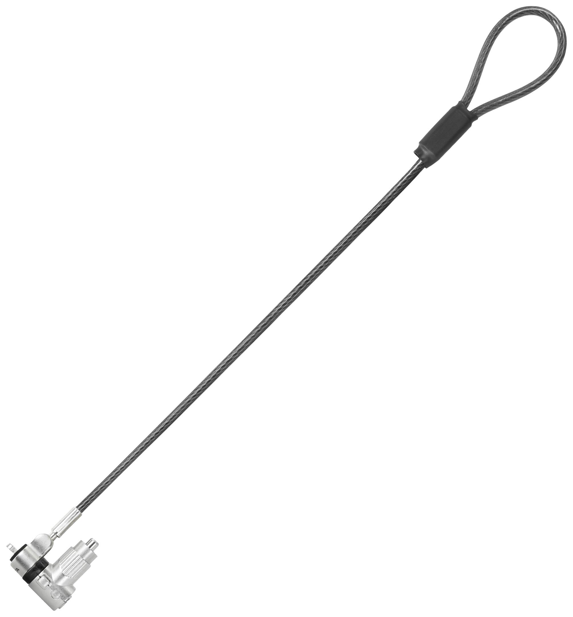 Un lucchetto di sicurezza con cavo d'acciaio, adatto per laptop. Il lucchetto ha un meccanismo di chiusura in metallo, il cavo presenta un cappio all'estremità.
