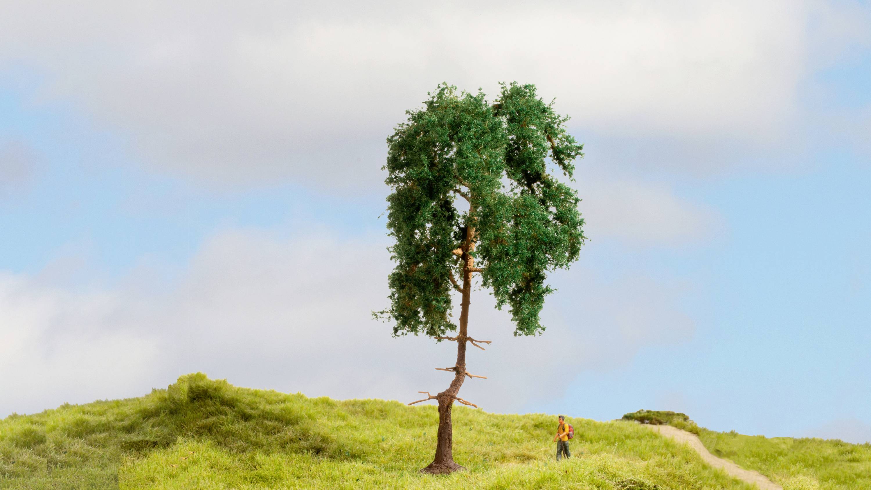 Un singolo albero si erge su una collina verde, accanto a una piccola persona su un sentiero, sotto un cielo blu con nuvole.